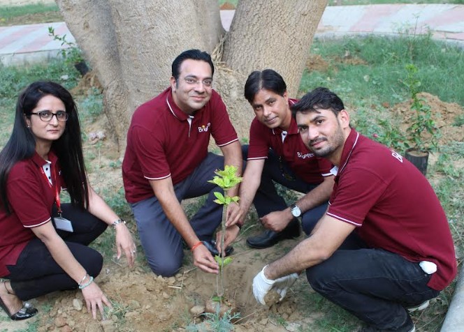 Brightsun Travel Celebrates World Environment Day with a Cleaning and Mass Plantation Drive
