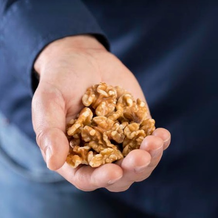 Study Suggests Walnuts are Bridge to Better Health as We Age