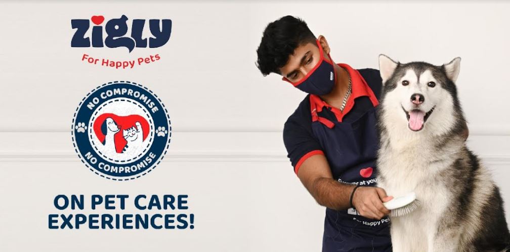 Zigly's Brand Campaign Encourages 'No Compromise' on Pet Care