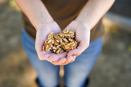 Why Walnuts Can Be Your Go-To For Your Daily Quota of Plant-based Omega-3 ALA