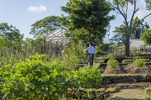 The Reimagined AYANA Farm at AYANA Estate Reopens July 2023 with Diverse Range of Guest Experiences