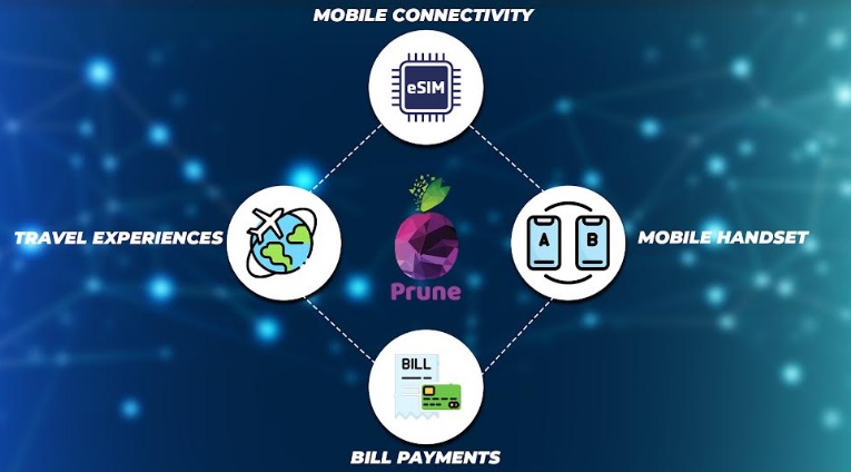 Prune Introduces Comprehensive One-Stop Solution for Mobile Connectivity