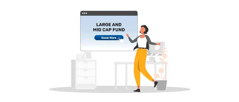 27267 Large and Mid Cap Fund