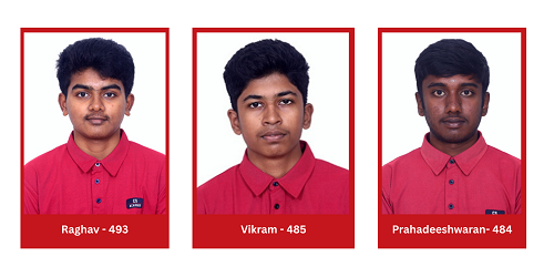 Excellence Across Streams: CS Academy Records Exceptional Grade 12 Board Performance