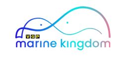 VGP Marine Kingdom Brings First-Ever Mermaid Show to Chennai